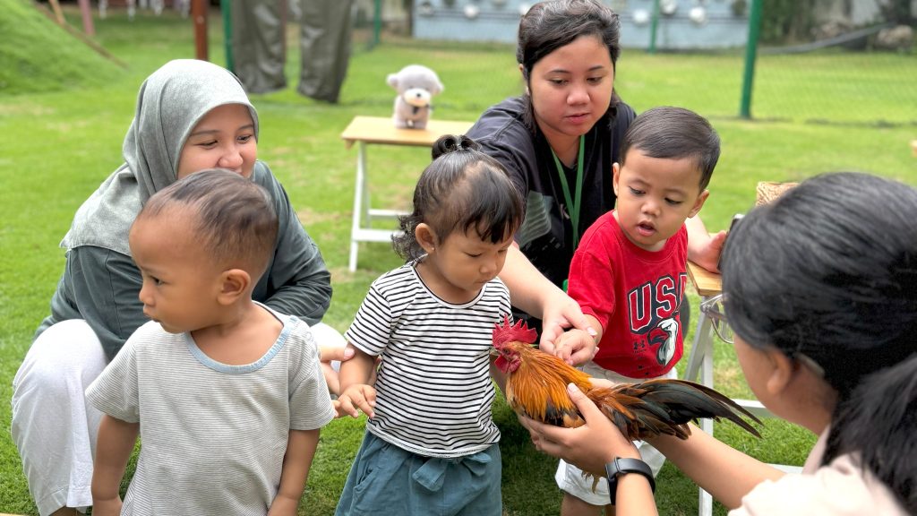 Anak Baby Class mengenal ayam di outdoor Mungils bersama teman-temannya